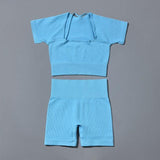 Seamless Yoga Set Sports Tracksuit - fashion$ense-6263