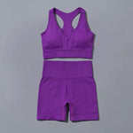 Seamless Yoga Set Sports Tracksuit - fashion$ense-6263